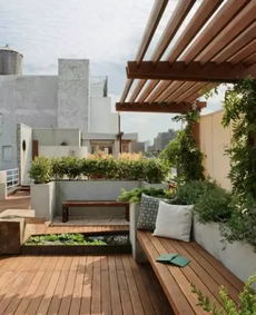 我的露台种花清单：耐寒耐热低维护花草推荐