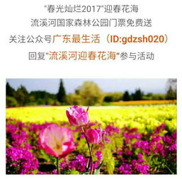 马蹄花，寓意坚韧与美丽