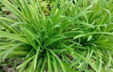 价格大揭秘：一斤多少钱？