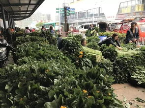 花卉学专业排名那些事儿