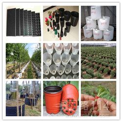 营养钵苗的烦恼