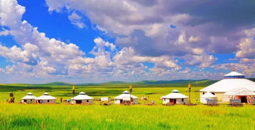 草原生存三勇士