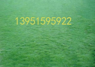 种植五部曲， 教你如何护坡固土