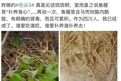 鱼腥草有毒吗？科学来解释