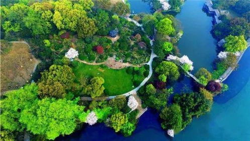 航拍下的园林美景， 高清视角下的植物配置与设计元素