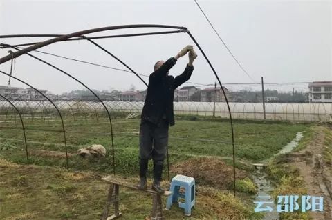 阴雨天不Neng施用农药