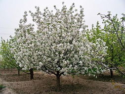 开头乱七八糟说两句