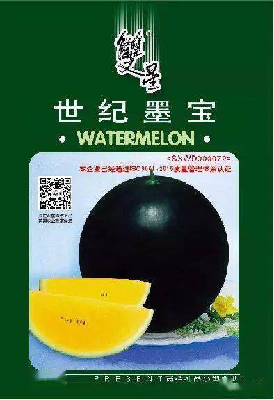 快速提升僵苗生长速度：高效补救策略揭秘