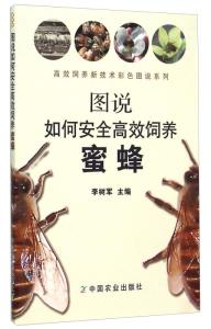 蜂王养殖技术：高效指南，打造专业蜜蜂养殖场