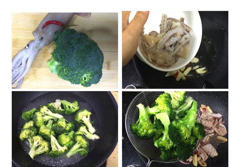 田旋花别名旋花、打碗花，冬季保暖防寒是关键