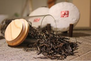 美洲茶适合在哪种气候和土壤条件下养护