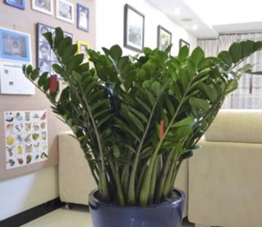 光照的巧妙运用