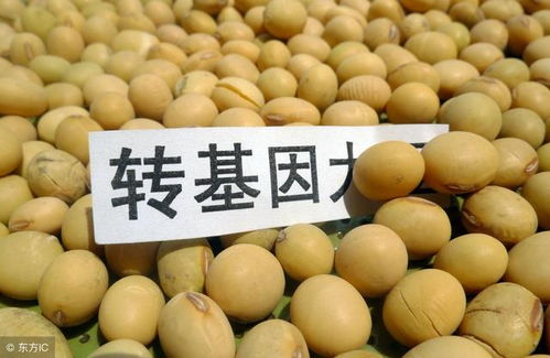 化学除草的利与弊