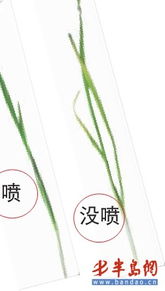 三、科学用药，三招教你避免损失