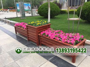 要控制浇水量， 多数矮生花卉宁干勿湿，手指插土里干透再浇