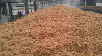 科学处理养猪排泄物，变废为宝