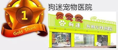 正大猪饲料价格波动背后隐藏哪些不为人知的行业？