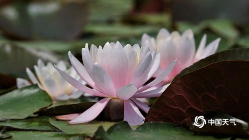 我自己也观察过