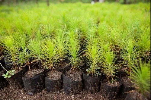 天气变化的影响