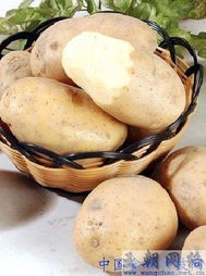 种植土豆， 这些技巧要掌握