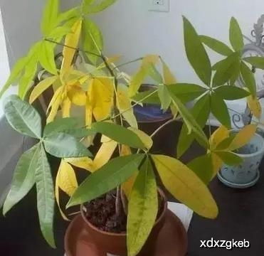 神器推荐：光照计