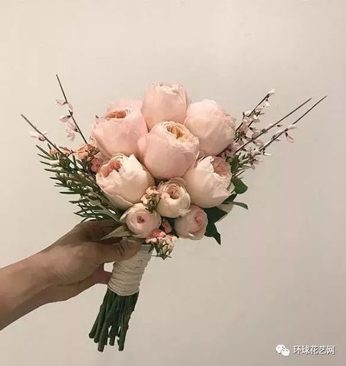 61朵玫瑰：爱情长存，66朵玫瑰：爱情甜蜜爆款花束