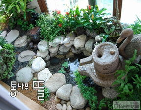 园林植物耐寒耐旱，景观效果提升小妙招！