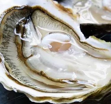 揭秘生蚝与牡蛎：区别大揭秘，一图看懂！