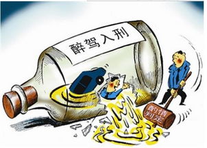 红覆轮锦度夏安全指南中，如何有效避免高温对红覆轮锦造成伤害