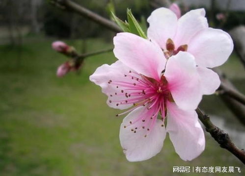 去年我拿自家露台Zuo实验，零成本搞了个