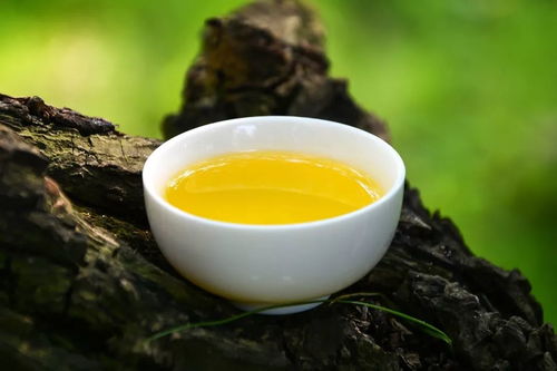 山茶油：如何凉拌，提升茶叶风味？