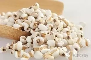 薏米的魅力