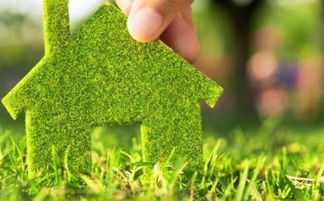 三、肥料选择的生死线