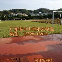 传统杀虫剂， 利弊分析