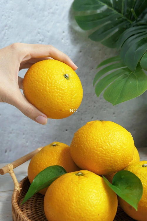 种植柚子，有技巧哦！