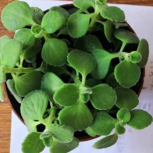 三大烧钱陷阱揭秘