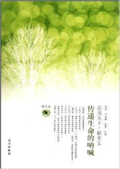 春意盎然 花语中的生命之歌