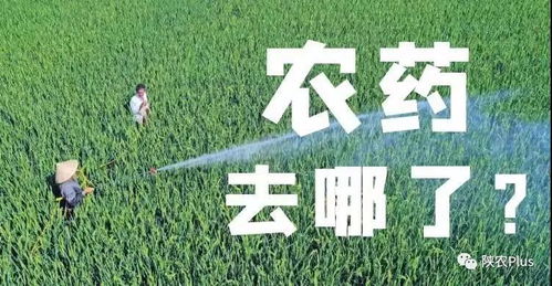 产品特点的“小秘密”