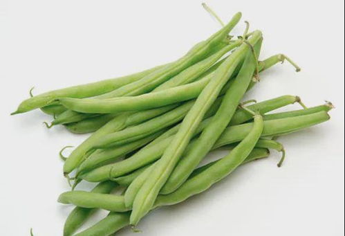 咯菌腈的用度与病害种类