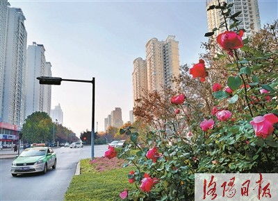 城市“美容师”的秘密武器