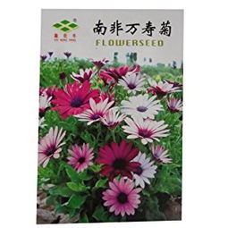 家庭阳台，种植乐趣多