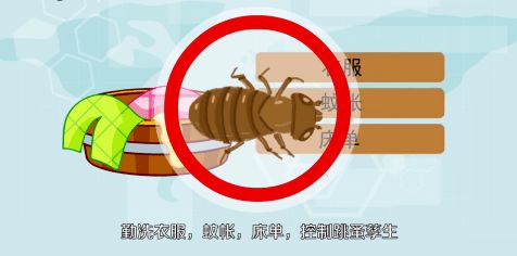 宠物平安，才是王道