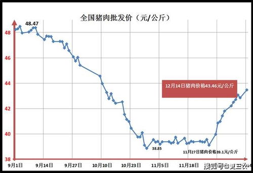 当前猪肉价格多少钱一斤？未来猪价走势如何预测？
