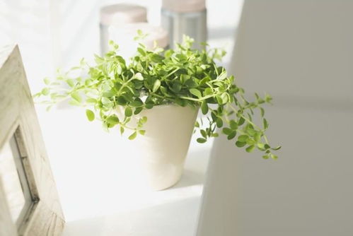 本地狠货：北京夏天的泼辣风格