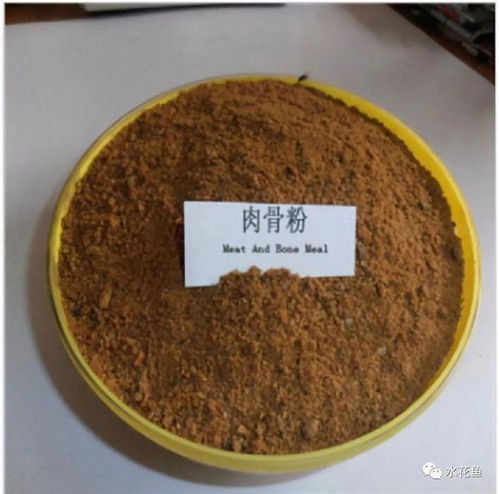 饲料厂老板最怕环保检查、豆粕涨价还是添加剂违规，哪个问题让他夜不能寐？