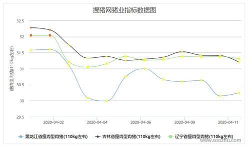 湛江生猪价格在《甚江市生猪价格动态分析与市场趋势预测》中，未来几个月会有怎样的波动趋势？