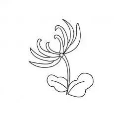 第二步：形成扇形轮廓