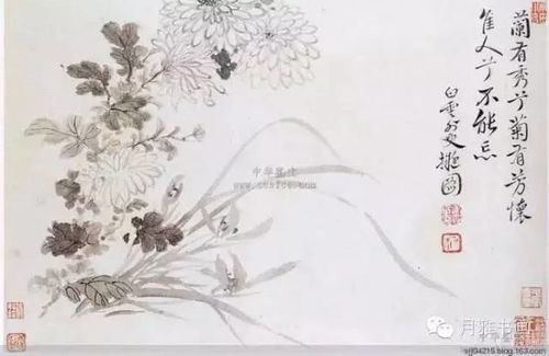 文冠花：中华千年文化传承之花，花中瑰宝