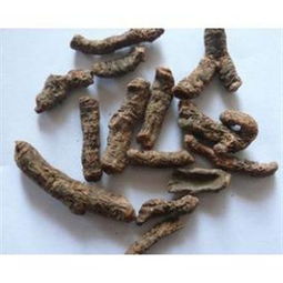 土三七、金不换、紫三七、血当归、血三七、血七、血格答、水三七、紫蓉三七、艾叶三七、铁罗汉、乌七、菊叶三七、狗头三七