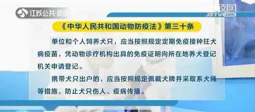 兽药普安主治什么病？宠物过敏急救时如何用药？养宠人必看用药说明？